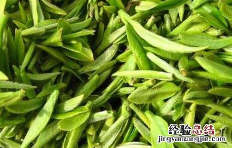 普洱茶属于什么茶 碧螺春属于什么茶