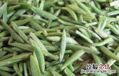 普洱茶属于什么茶 碧螺春属于什么茶