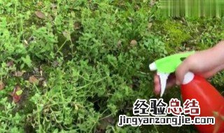 大面积自制除草剂配方 教你自制除草剂