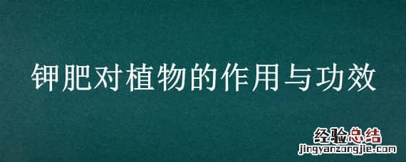 钾肥主要功效 钾肥对植物的作用与功效