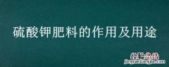 硫酸钾肥料的作用及用途可用桉树玛 硫酸钾肥料的作用及用途