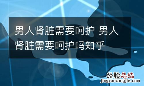 男人肾脏需要呵护 男人肾脏需要呵护吗知乎