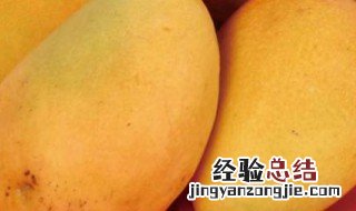 怎样判断芒果坏了 怎么知道芒果坏没坏