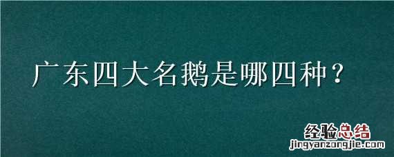广东四大名鹅是哪四种 广东四大名鹅是哪四种鸟