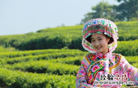 茶叶采摘技术要点 茶叶的采摘技术