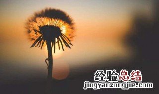 抖音最火的文案句子正能量 抖音最火的文案句子