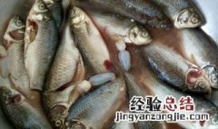 年夜饭衸暧阍趺醋觥鲫鱼怎么做才好?