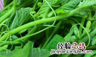 南瓜叶的营养价值 南瓜叶有什么营养价值