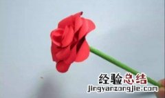 玫瑰花枝怎么做种 玫瑰花枝怎么做种子
