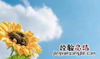 关于励志成才的名言 关于励志成才的名言有哪些