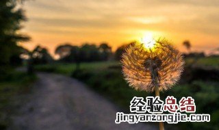 唯美悲伤的心情说说 唯美悲伤的心情说说句子