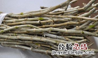 铁皮石斛的十大功效是什么 铁皮石斛有如下十大功效