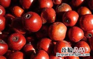 酸枣的吃法和功效与作用 酸枣的吃法和功效与作用图片
