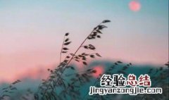 时光如白驹过隙的详细解释 有关时光如白驹过隙的详细解释
