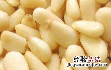 松子仁的功效与作用禁忌 松子仁的功效与作用