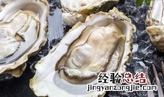 红烧生蚝的做法? 红烧生蚝的做法