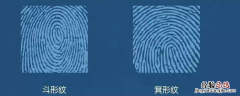 斗型花纹是什么 斗形花纹是什么意思
