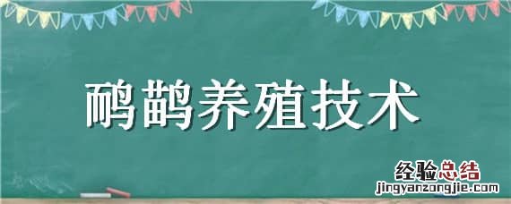 鸸鹋养殖技术视频公母 鸸鹋养殖技术