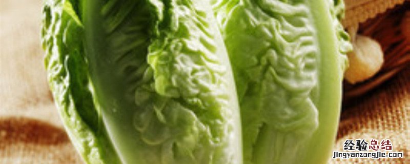 结球莴笋是什么菜 结球莴苣是什么菜