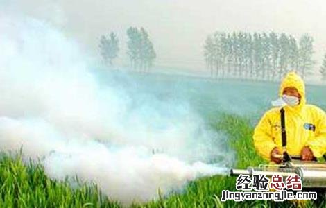 怎样使用不同剂型的农药