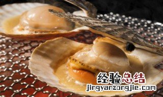 鲜贝是什么 鲜贝简述