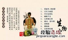 生物电对人体有什么好处和坏处 生物电有什么好处