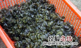 吃地蕨皮有什么好处和功效 吃地蕨皮有什么好处
