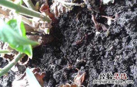 呋喃丹的应急处理处置方法 呋喃丹农药中毒急救
