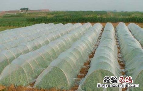 生物农药的三大类型 生物农药包括几种类型