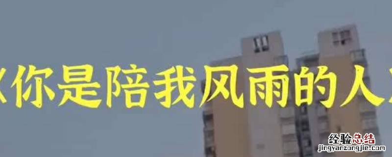 陪你走过风雨的人原唱 我是陪你走过风雨的人原唱