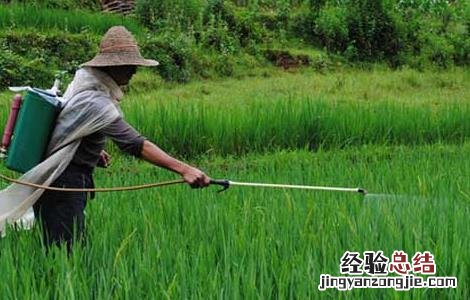 提高农药利用率 可节省农药用量使用新技术
