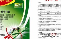 BT杀虫剂使用注意四方面