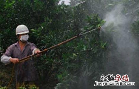 BT杀虫剂使用注意四方面