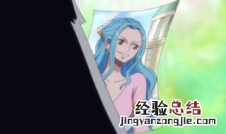 海贼王薇薇参加世界会议哪一集 海贼王薇薇参加世界会议哪一集