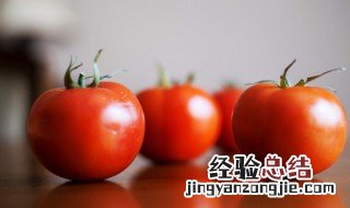 番茄鲅鱼罐头的做法 番茄鲅鱼罐头的做法介绍
