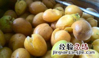 黄皮干怎么晒好吃 黄皮干晒好吃的方法