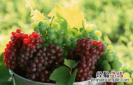 如何识别蔬菜农药残留量 怎么样检测蔬菜的农药残留 具体方法
