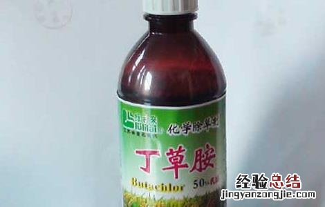 丁草胺的使用注意事项 丁草胺的使用注意事项