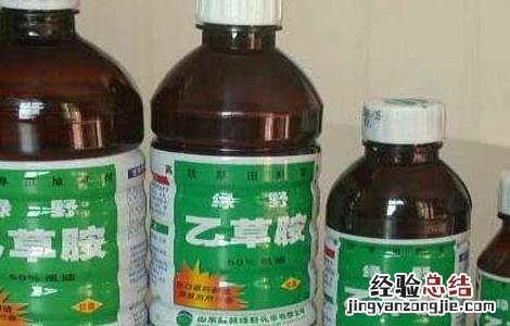 乙草胺药剂除草效果 乙草胺可以除草吗