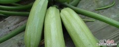 西葫芦为什么有股怪味 西葫芦有股腥味