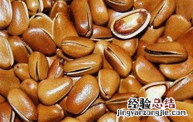 松子皮的功效与作用是什么 松子皮的功效与作用