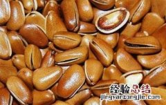 松子皮的功效与作用是什么 松子皮的功效与作用