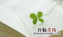 关于祖国的诗句古诗 关于祖国的诗句古诗4句