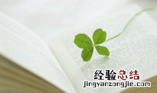 关于祖国的诗句古诗 关于祖国的诗句古诗4句