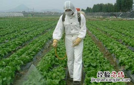 农药的科学施用技术 农药的科学施用技术包括