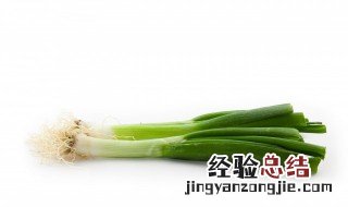 葱油拌面用葱叶还是葱白好吃 葱油拌面用葱叶还是葱白