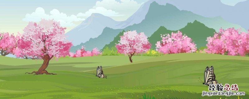 赞美梅花的诗句古诗大全 赞美梅花的诗句