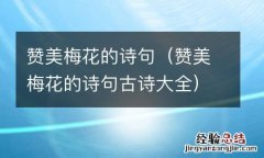 赞美梅花的诗句古诗大全 赞美梅花的诗句