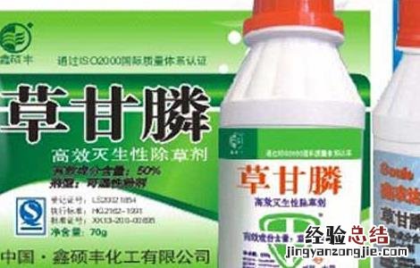 草甘膦的作用和注意事项有哪些 草甘膦的作用和注意事项