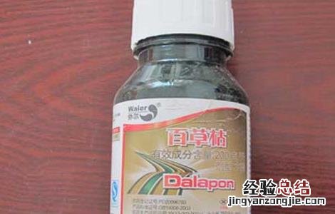 百草枯怎样使用效果最好 百草枯的使用方法和注意事项